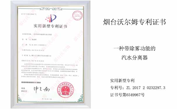 沃爾姆專利證書(shū)：一種帶除霧功能的汽水分離器