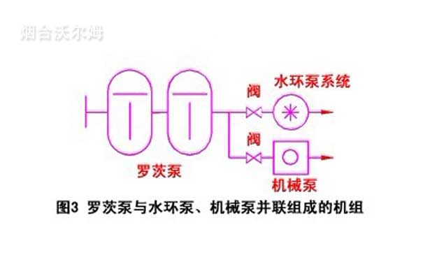 羅茨泵與水環泵、機械泵并聯組成的機組